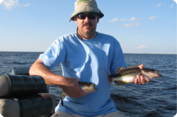 2010