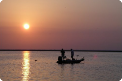 2005